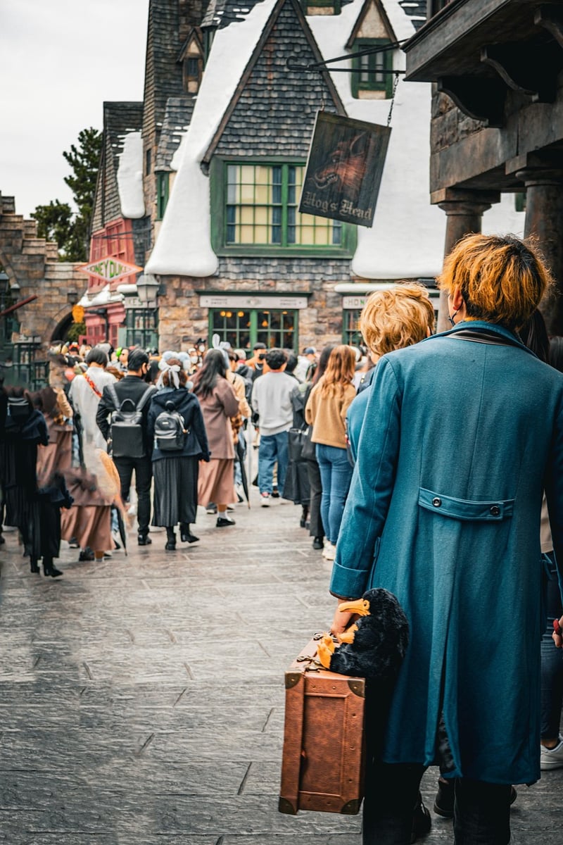 Invisibility Cloak
