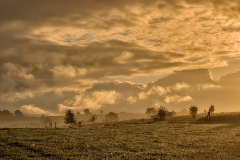 Mindfulness in Nature